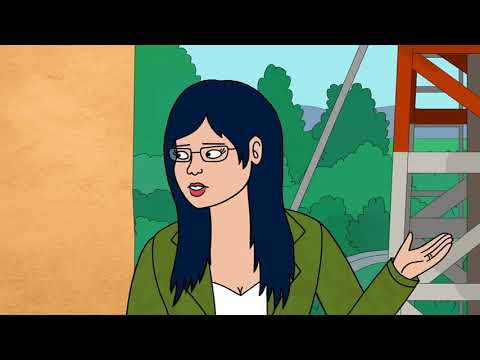 Bojack Horseman - Diane on marriage