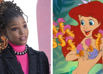 The Little Mermaid Halle Bailey Got Stupid Reactions