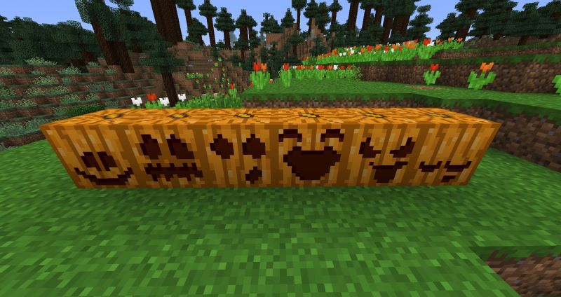 a carved pumpkin in minecraft