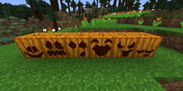 Carved Pumpkin