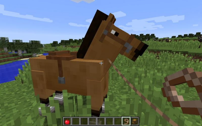 Minecraft Horse