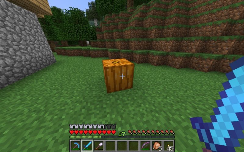 a carved pumpkin in minecraft