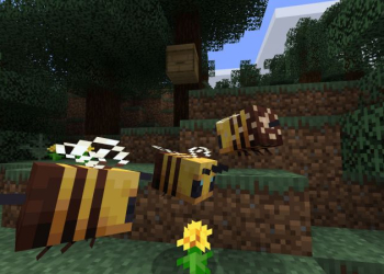How To Make A Honeycomb In Minecraft