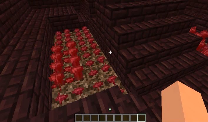 How To Make A Nether Wart 2