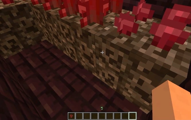 How To Make A Nether Wart 3