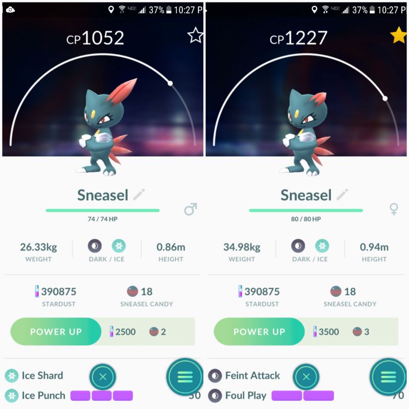 Sneasel Pokemon Go