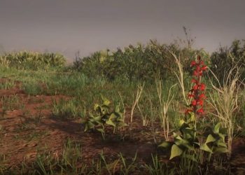 Where To Find Red Sage Red Dead Online