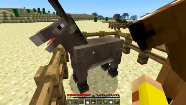 How to Feed Horse in Minecraft (Update 2021) • Wowkia.com