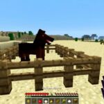 How To Feed Horse Minecraft