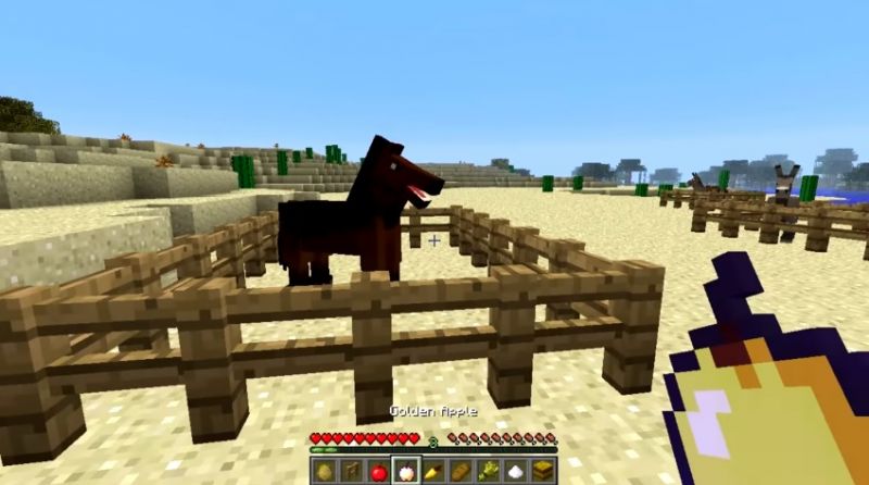 How To Feed Horse Minecraft