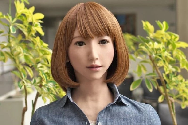Erica Robot
