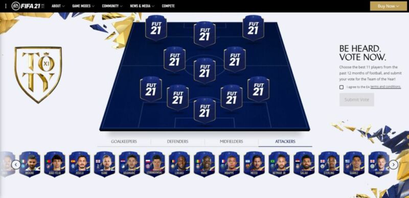 Team Of The Year Player Details