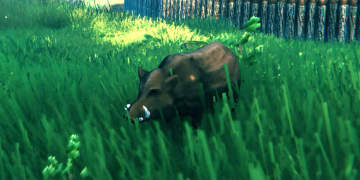 How to Get and Mount a Valheim Boar Trophy