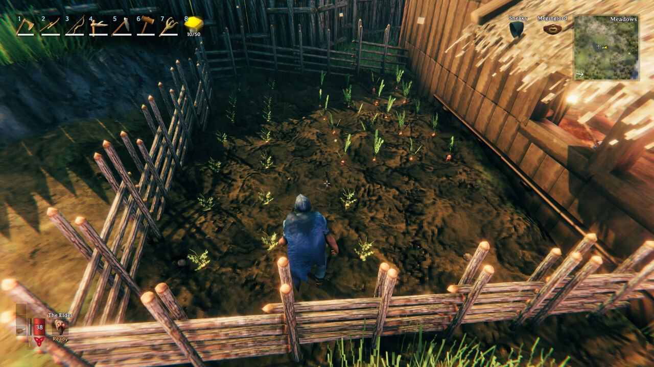 How to Plant Seeds in Valheim