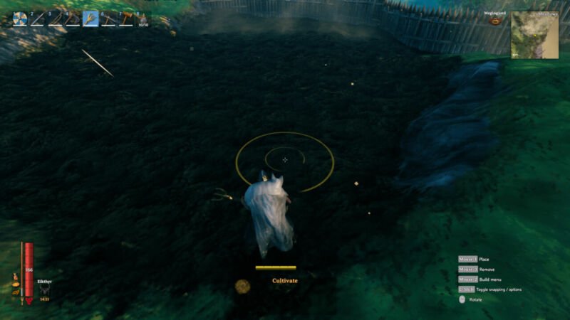 How to Plant Seeds in Valheim
