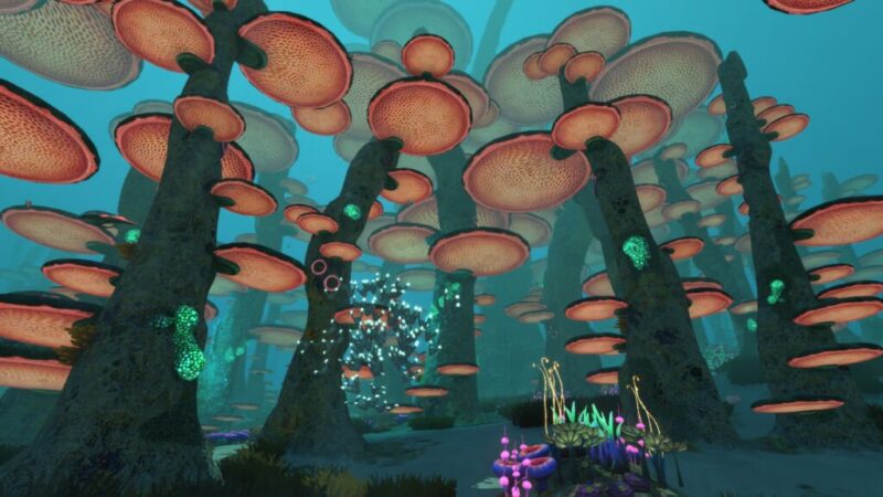 Location of How to Get Diamonds in Subnautica, Mushroom Forest