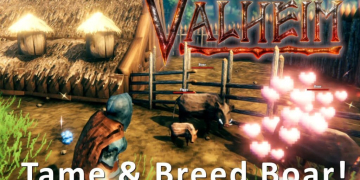 How to Breed a Boar in Valheim