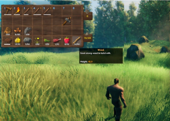 how to get wood in valheim