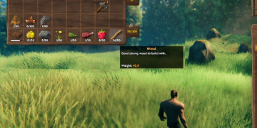 how to get wood in valheim