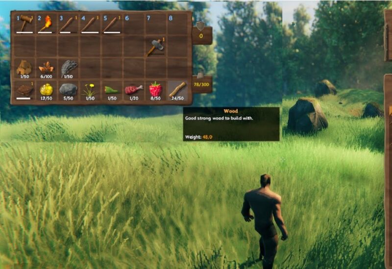 How to Get Wood in Valheim Valheim Guide
