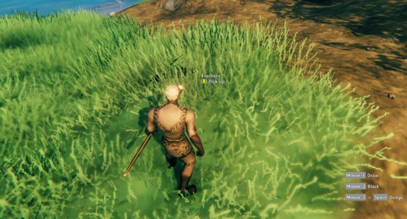 How To Get Feather In Valheim 3