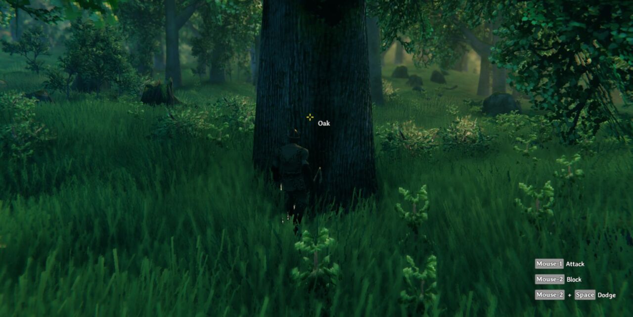 How to Get Fine Wood in Valheim Valheim Guide