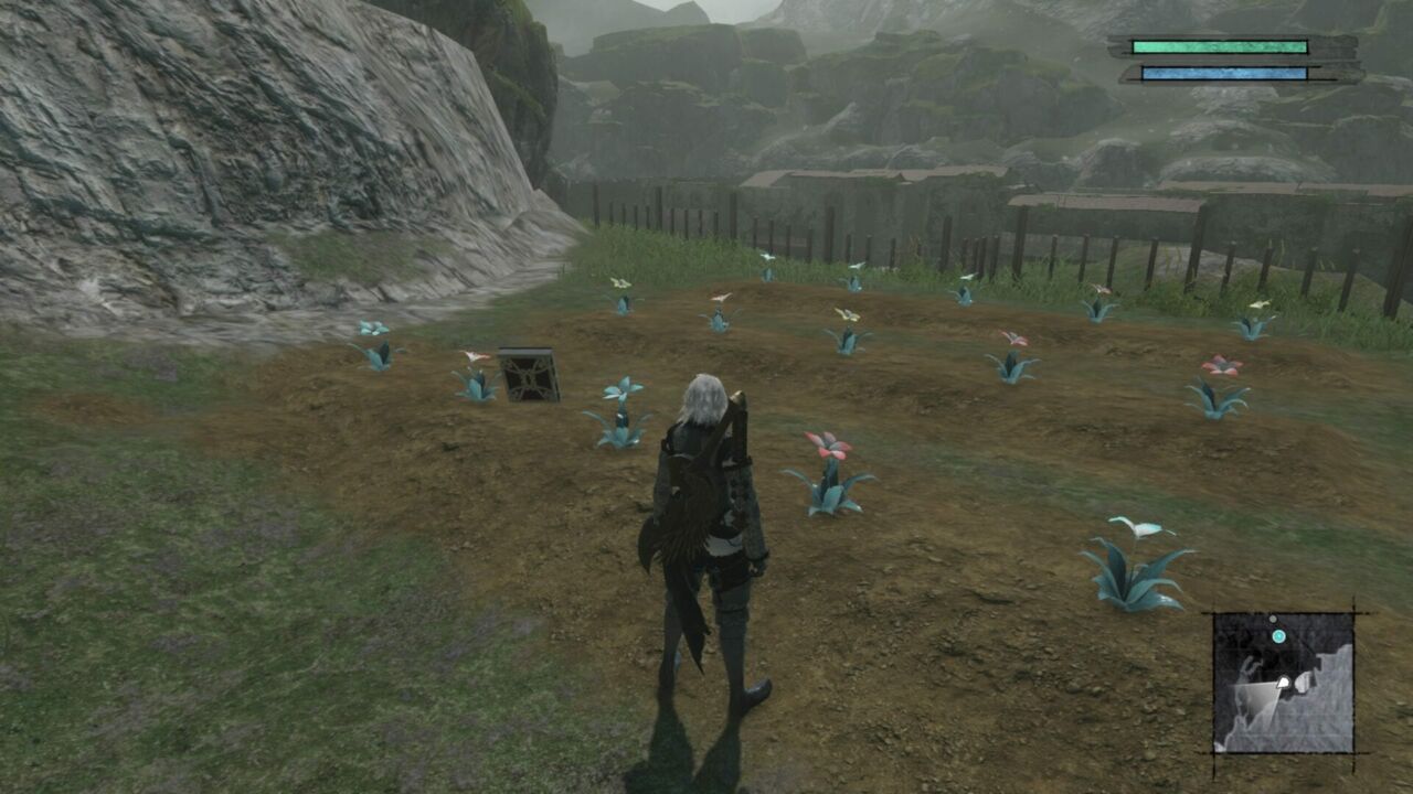 How To Get Pink Moonflower Seeds In Nier Replicant