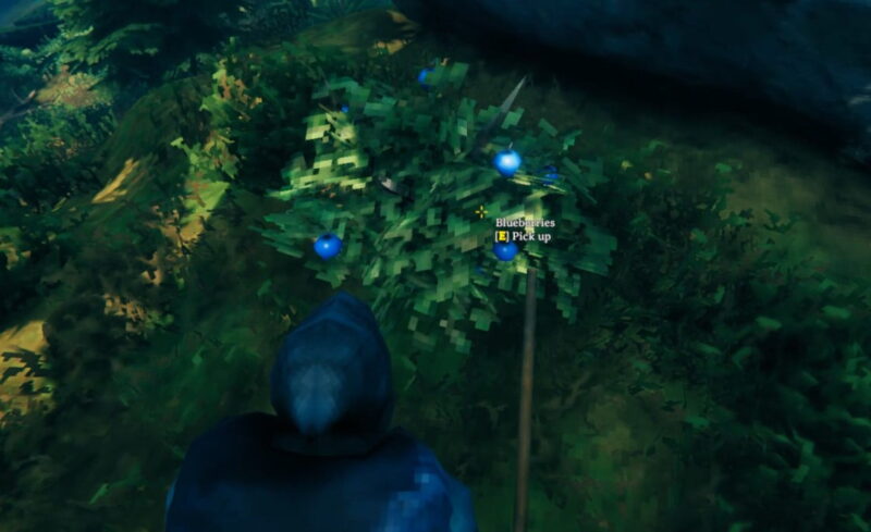 How To Get Blueberries In Valheim 2