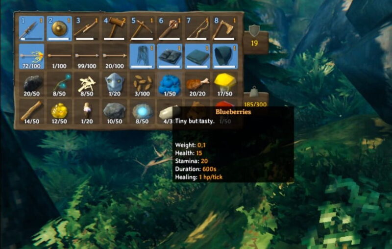 How To Get Blueberries In Valheim 3