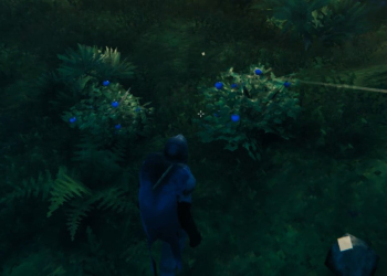 How To Get Blueberries In Valheim