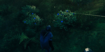 How To Get Blueberries In Valheim
