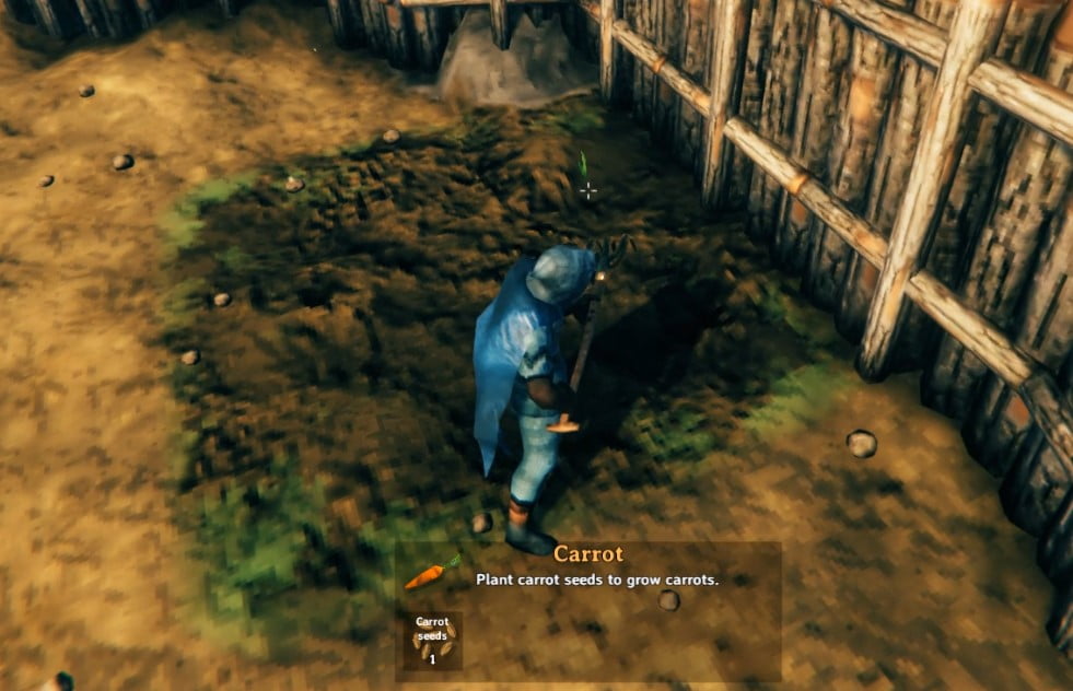 How To Get Carrot In Valheim 3