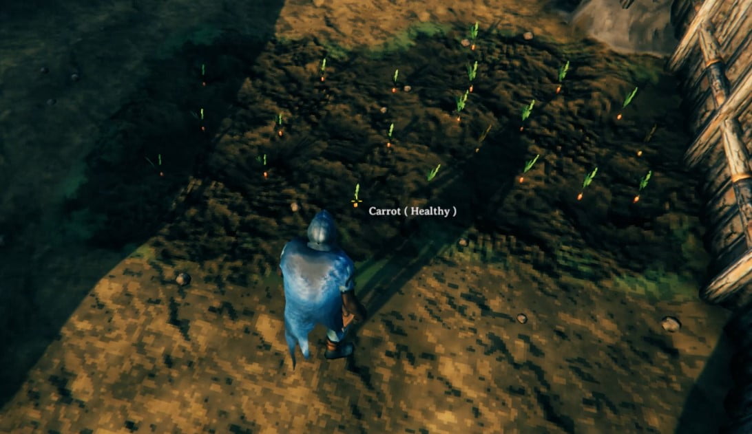 How To Get Carrot In Valheim 4