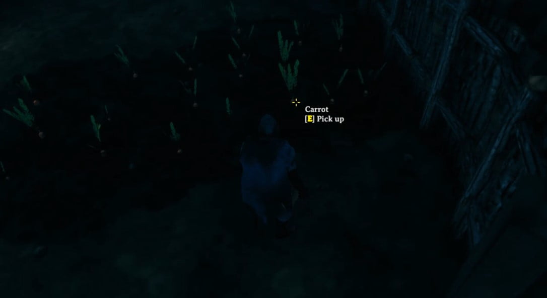 How To Get Carrot In Valheim 5