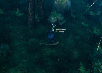 How To Get Carrot Seeds In Valheim 2