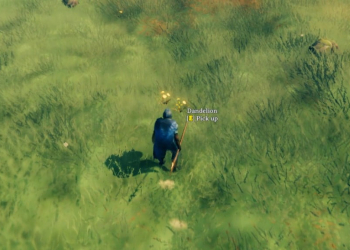 How To Get Dandelion In Valheim