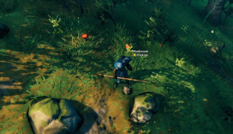 How To Get Mushroom In Valheim 2