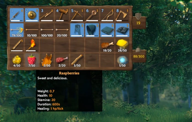 How To Get Raspberries In Valheim 3