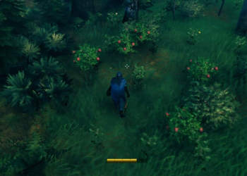 How To Get Raspberries In Valheim