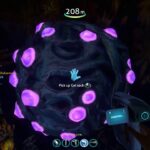 How To Get Gel Sack In Subnautica Below Zero