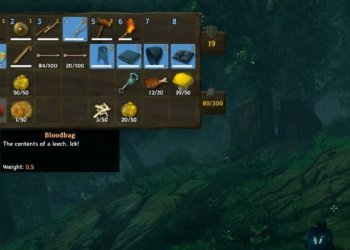 How To Get Bloodbag In Valheim