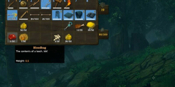 How To Get Bloodbag In Valheim