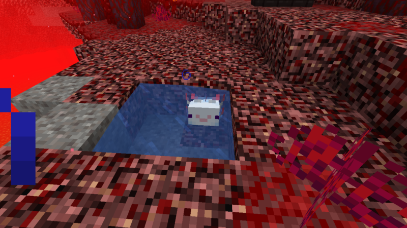 Axolotl On Nether