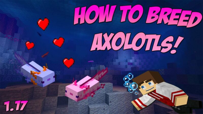 Breed Axolotls