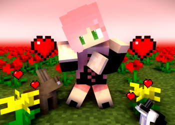 How To Use Minecraft Skin In Tlauncher