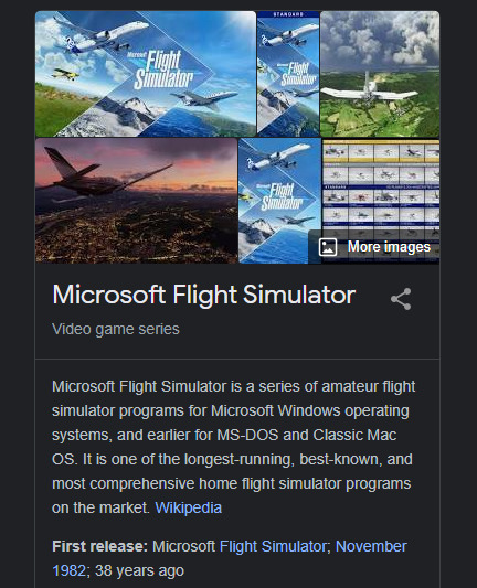 Microsoft Flight Simulator Age