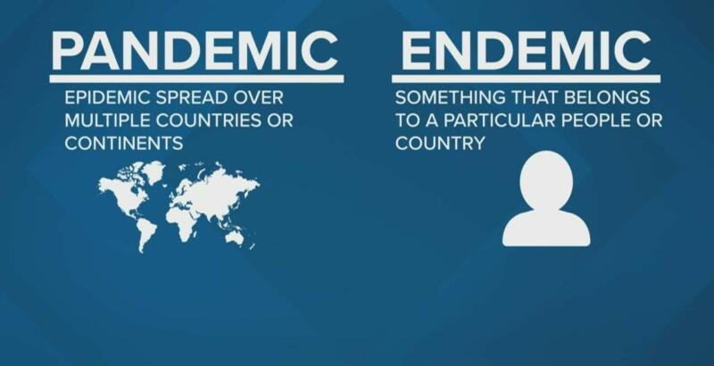 Difference Between Pandemic And Endemic