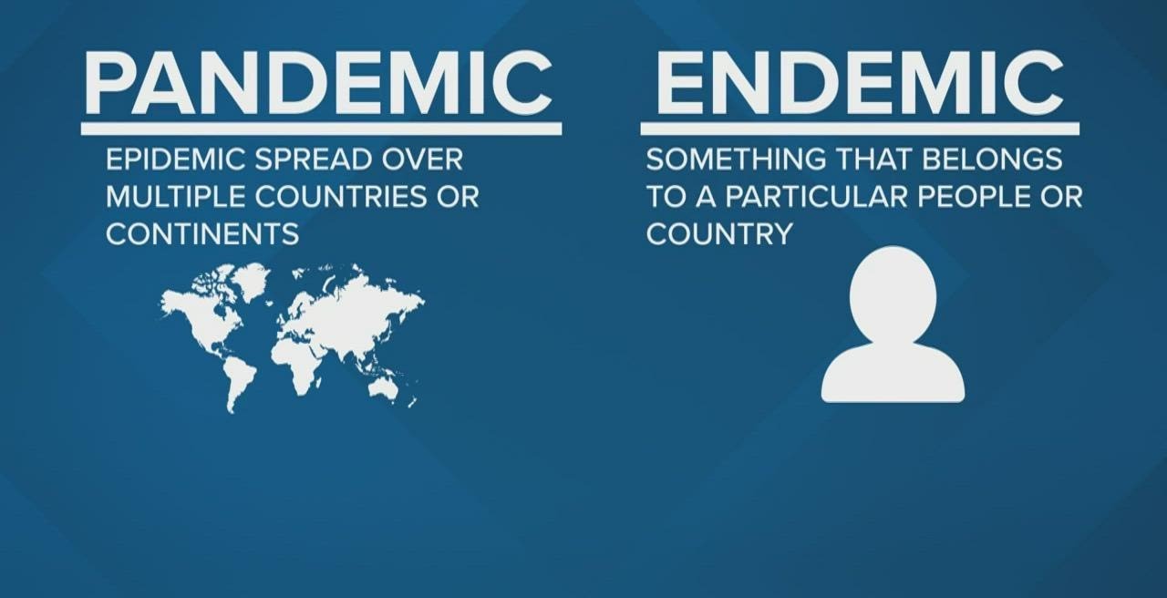 The Difference Between Pandemic and Endemic