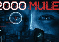 Watch 2000 Mules Free