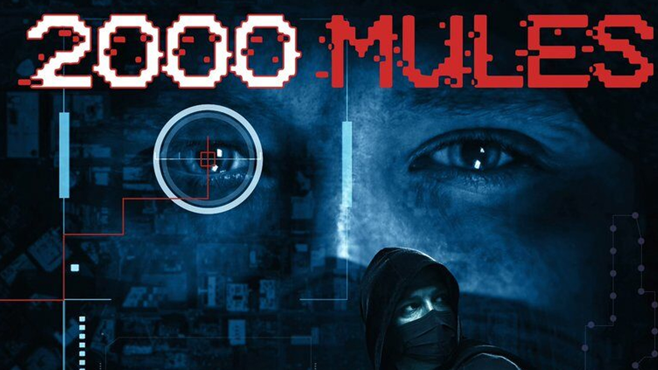 Watch 2000 Mules Free